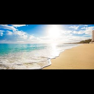 Meet your Posher, Ricki